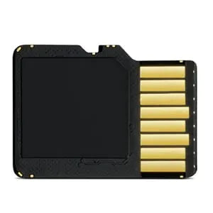 Garmin 16 GB microSD™ Class 10 Card with SD Adapter